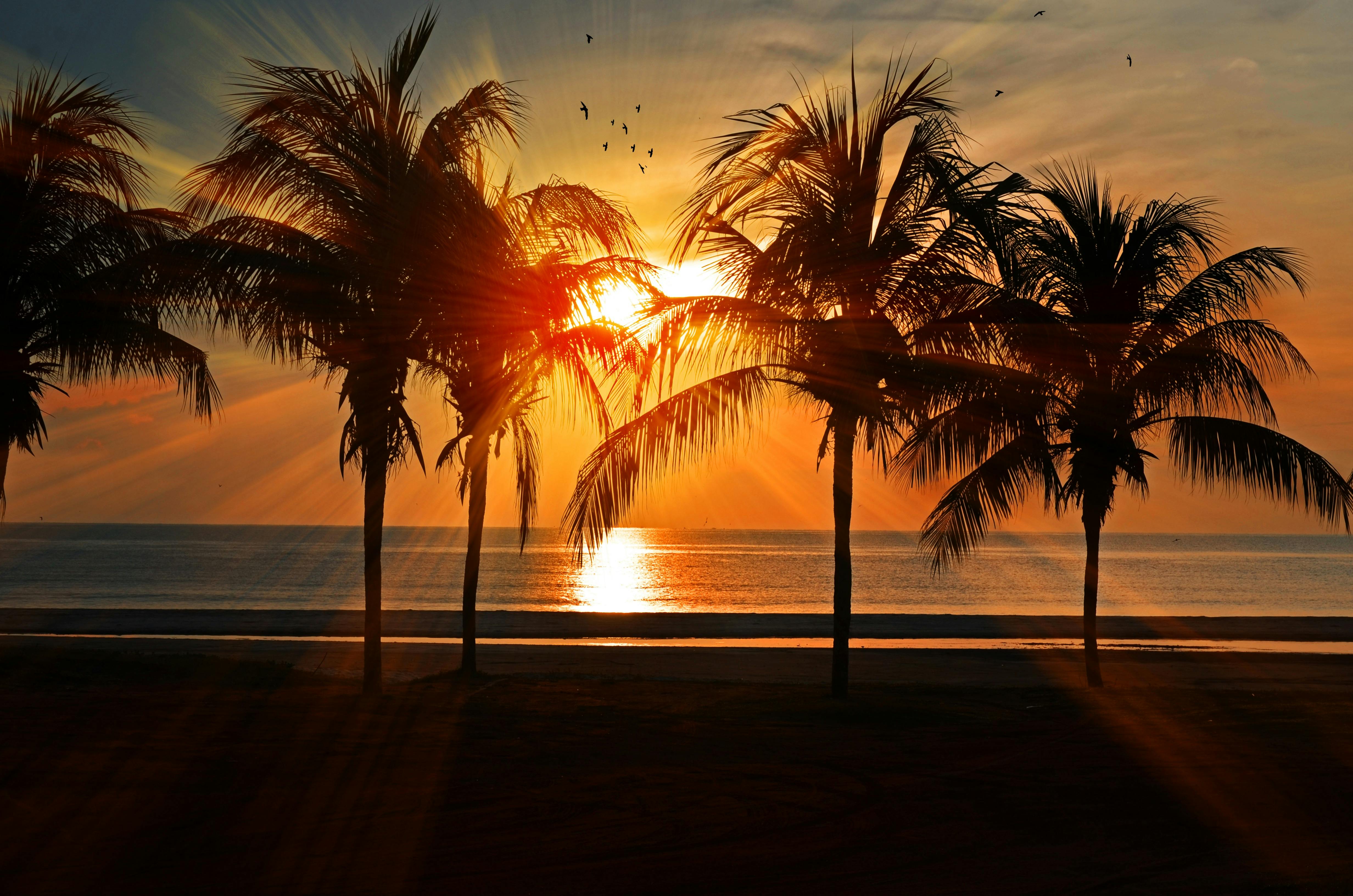 Destination 1